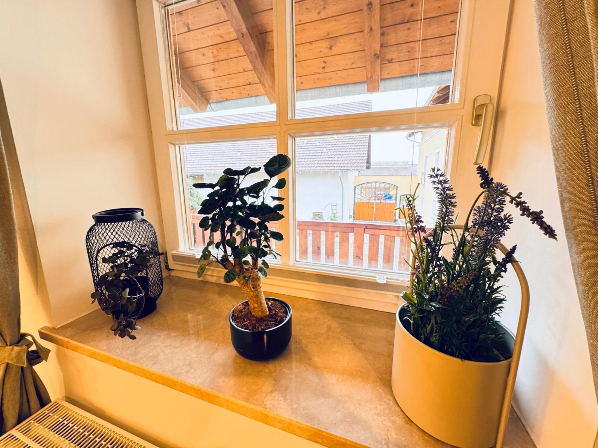 Ferienwohnung Vierseithof Eging Ngoại thất bức ảnh